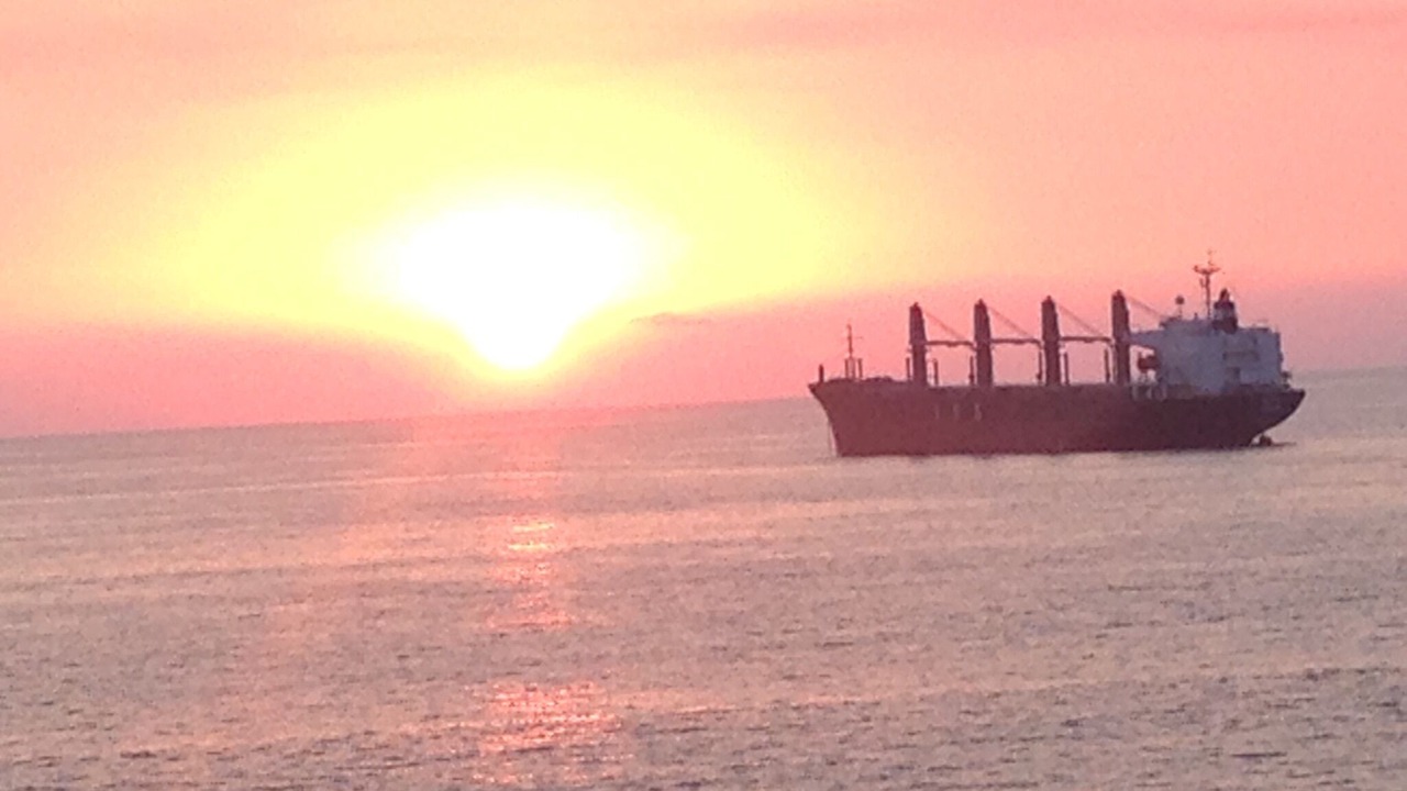 Photo of Others in Manzanillo