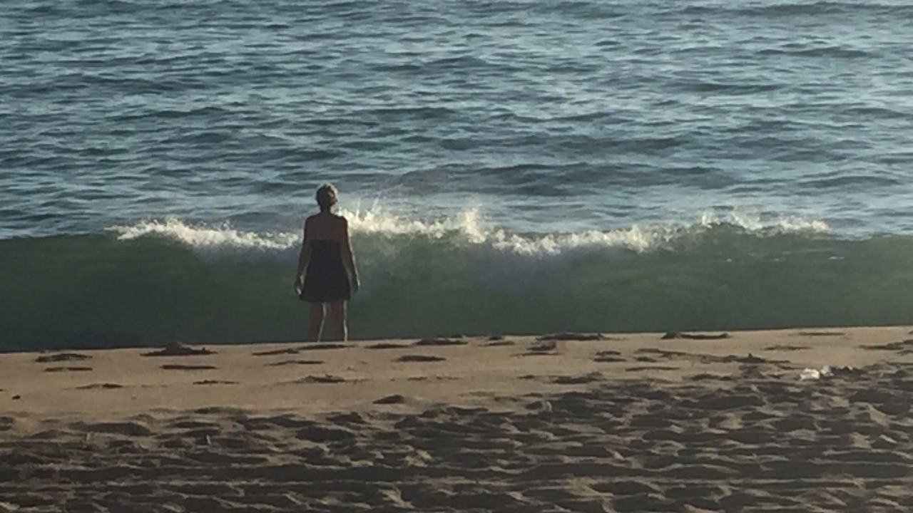Photo of Others in Manzanillo