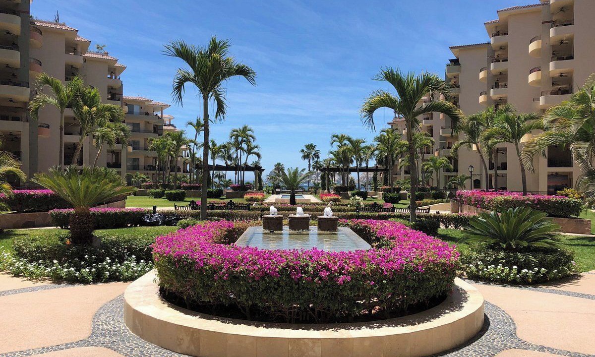 Photo of Others in Los Cabos