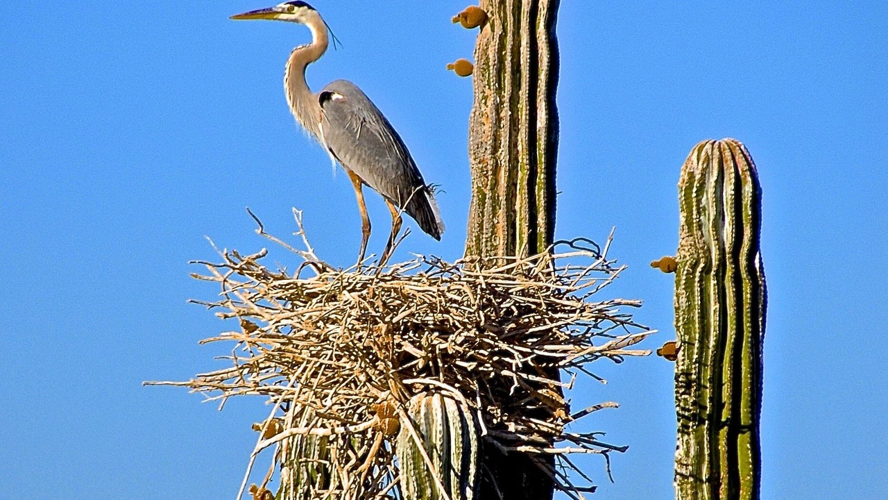 Photo of Outdoor in San Carlos