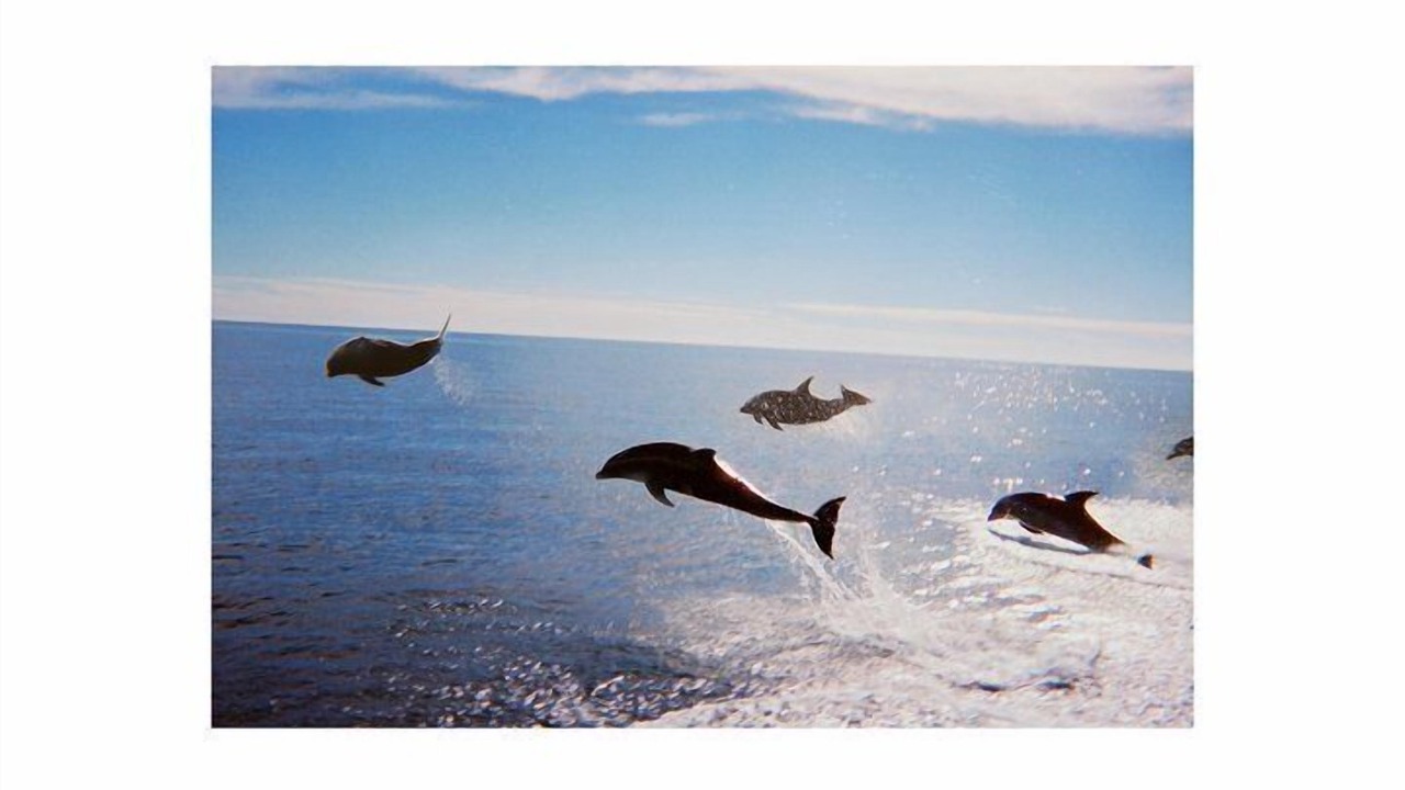 Photo of Others in San Carlos