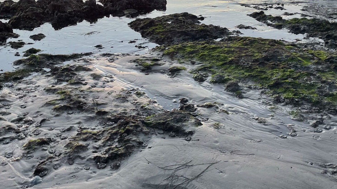 Photo of Others in Playas de Rosarito