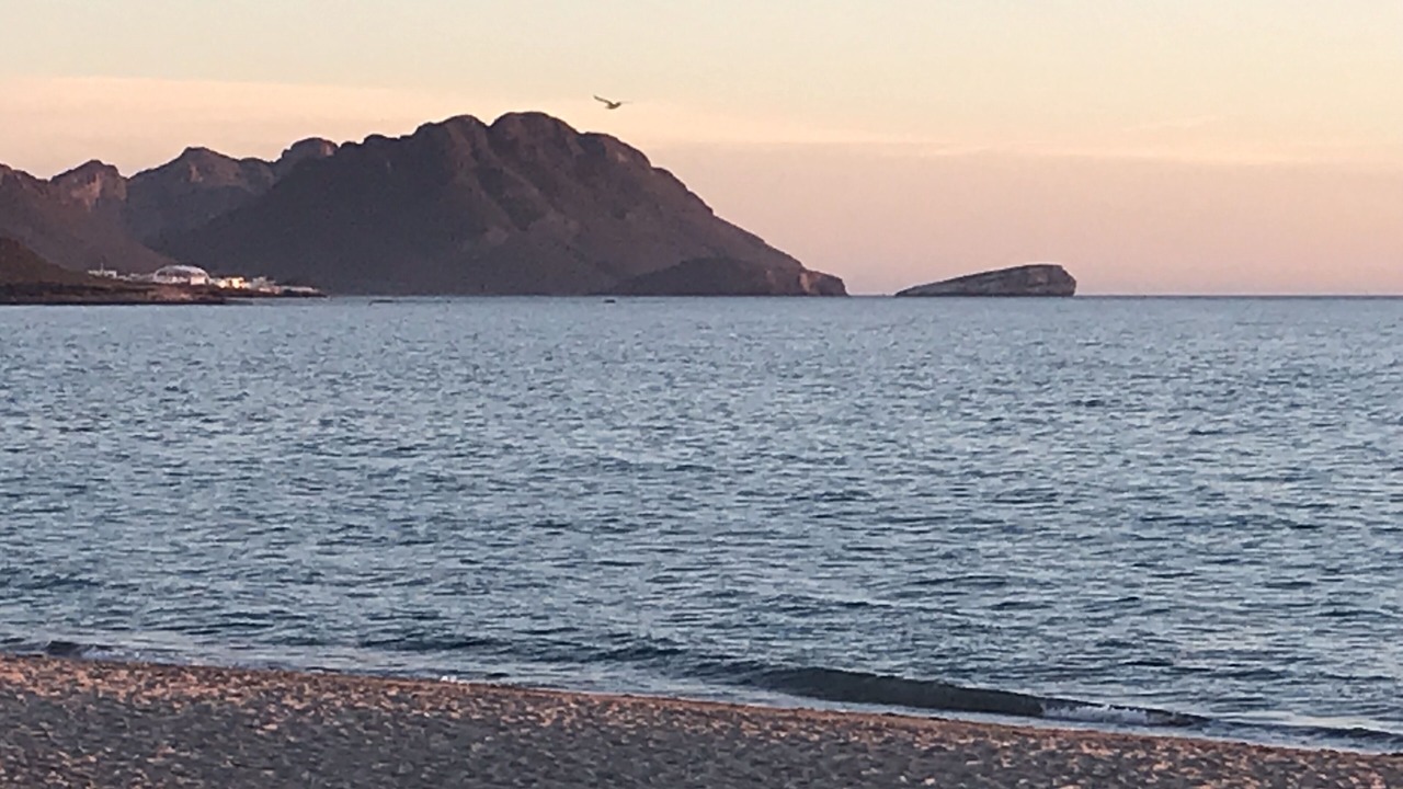 Photo of Others in San Carlos