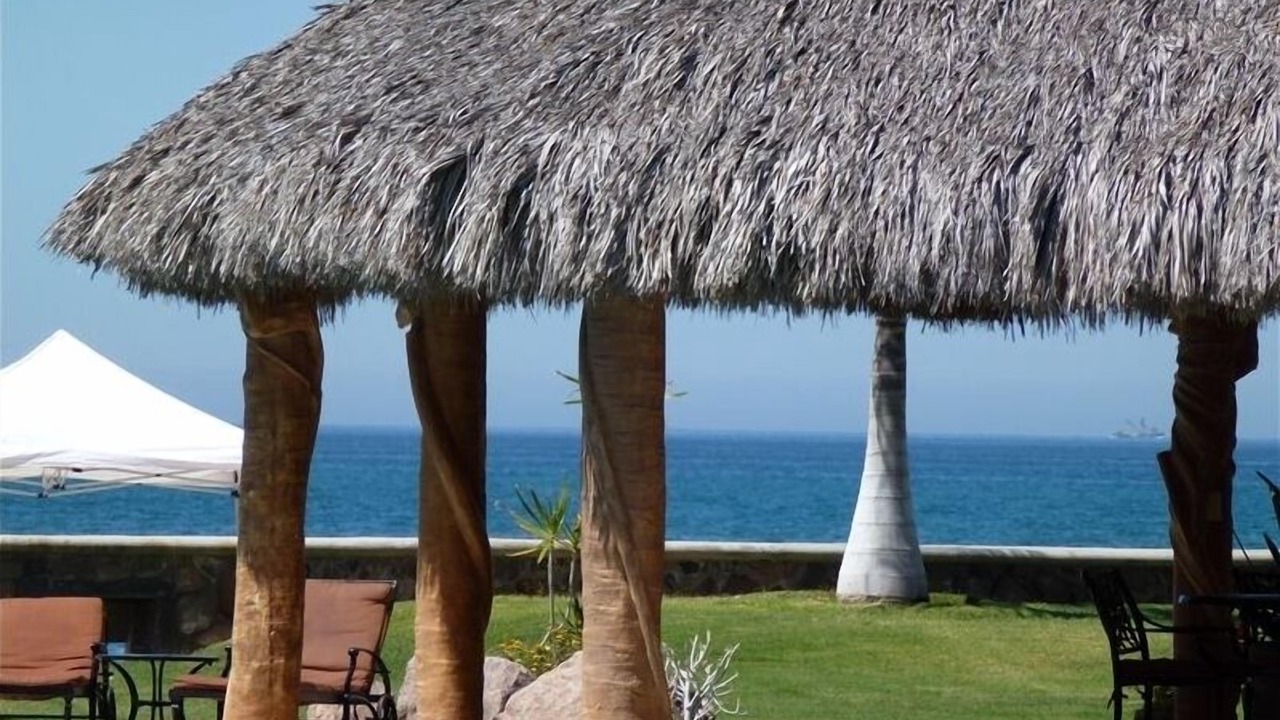Photo of Outdoor in San Carlos