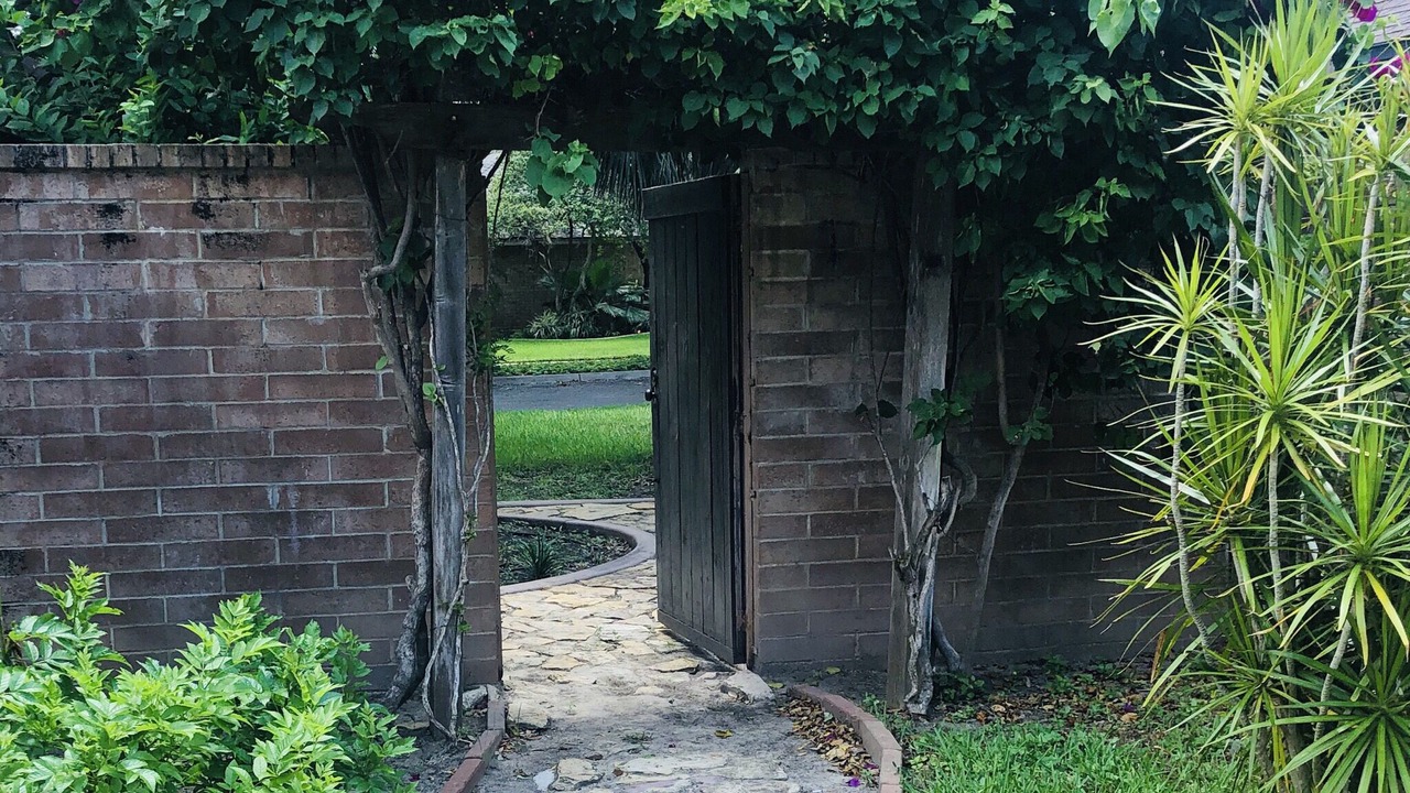 Photo of Outdoor in McAllen