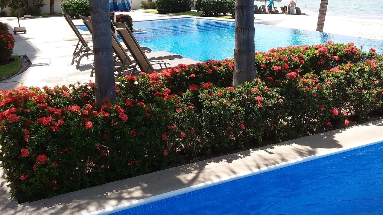 Photo of Outdoor in Bucerias
