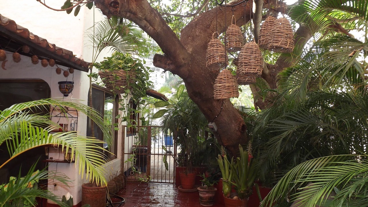 Photo of Outdoor in Romantic Zone