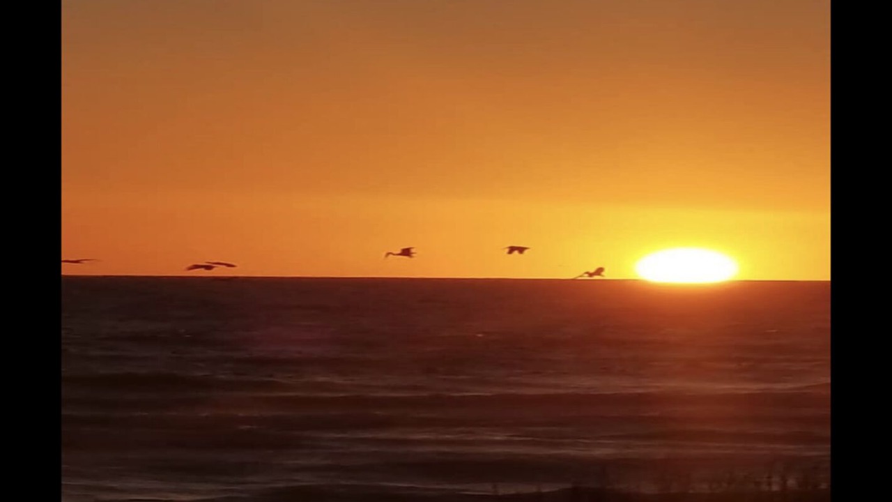 Photo of Others in Puerto Penasco