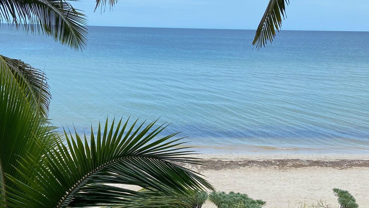 Photo of Others in Telchac Puerto