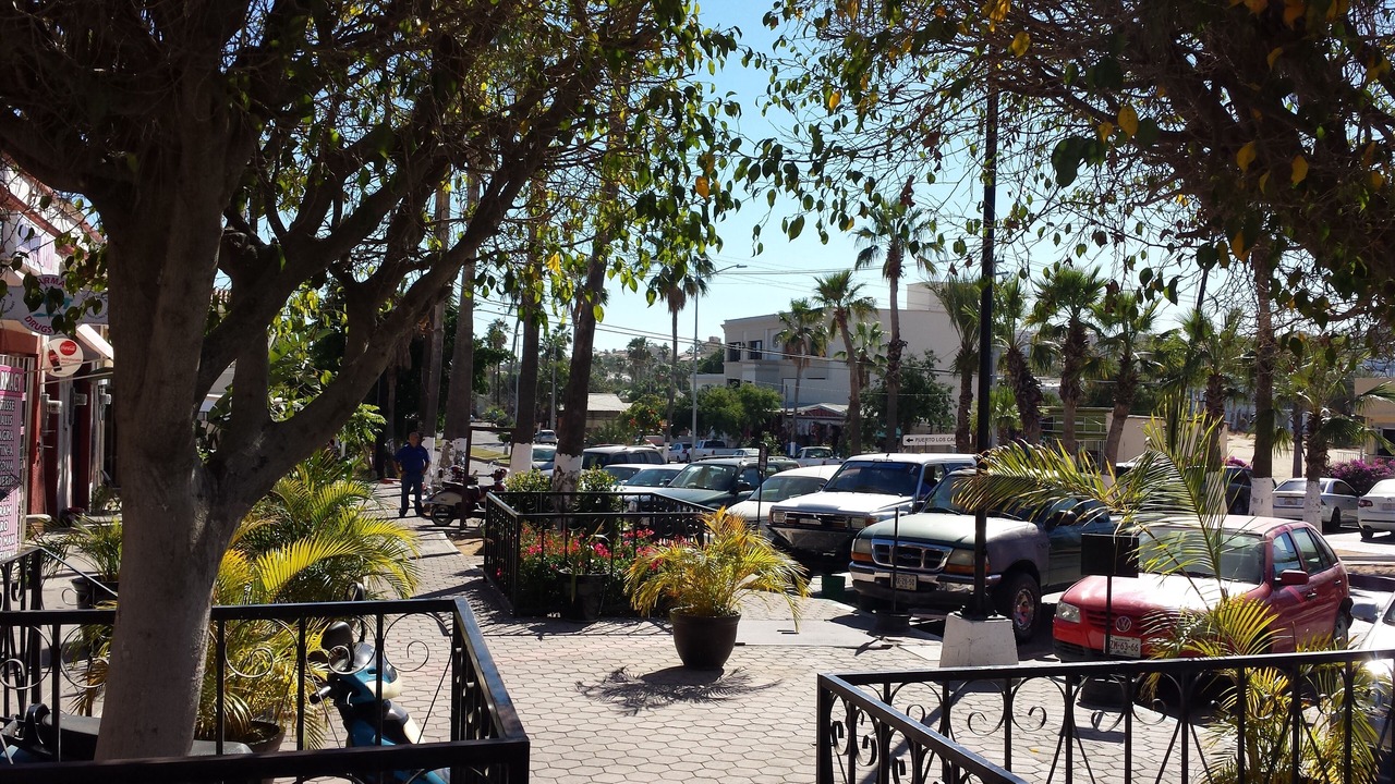 Photo of Others in Zona Hotelera