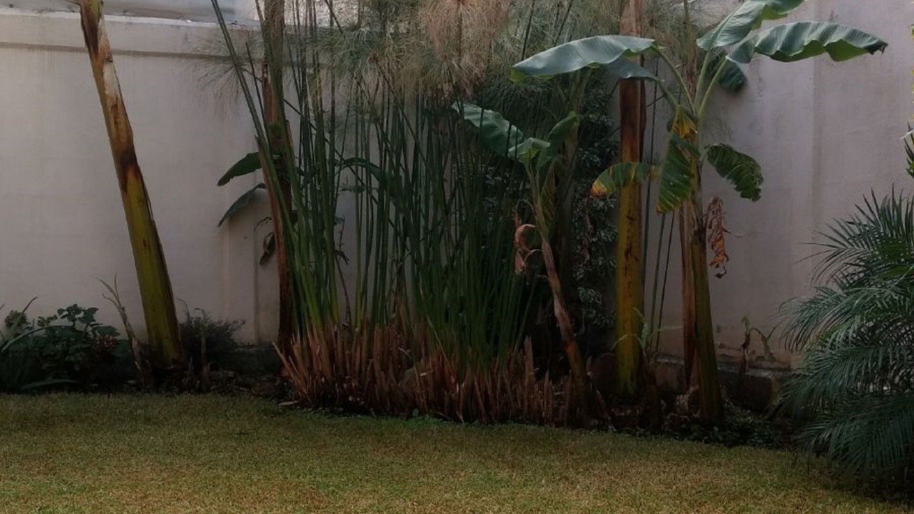 Photo of Outdoor in San Agustin