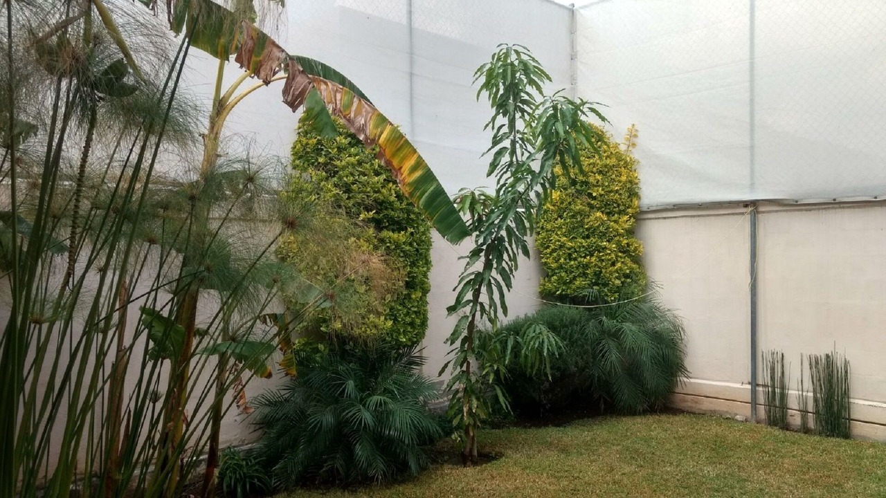 Photo of Outdoor in San Agustin