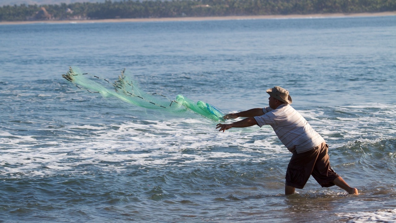 Photo of Others in Barra de Potosi