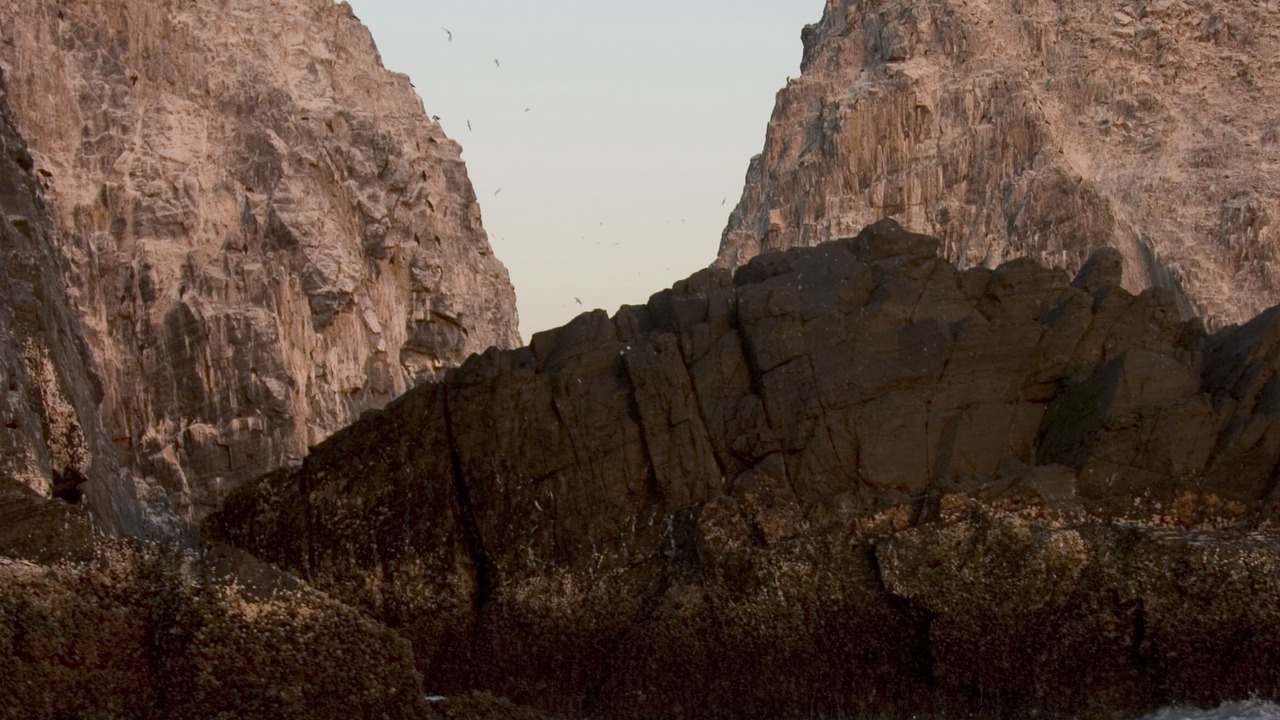 Photo of Others in Barra de Potosi