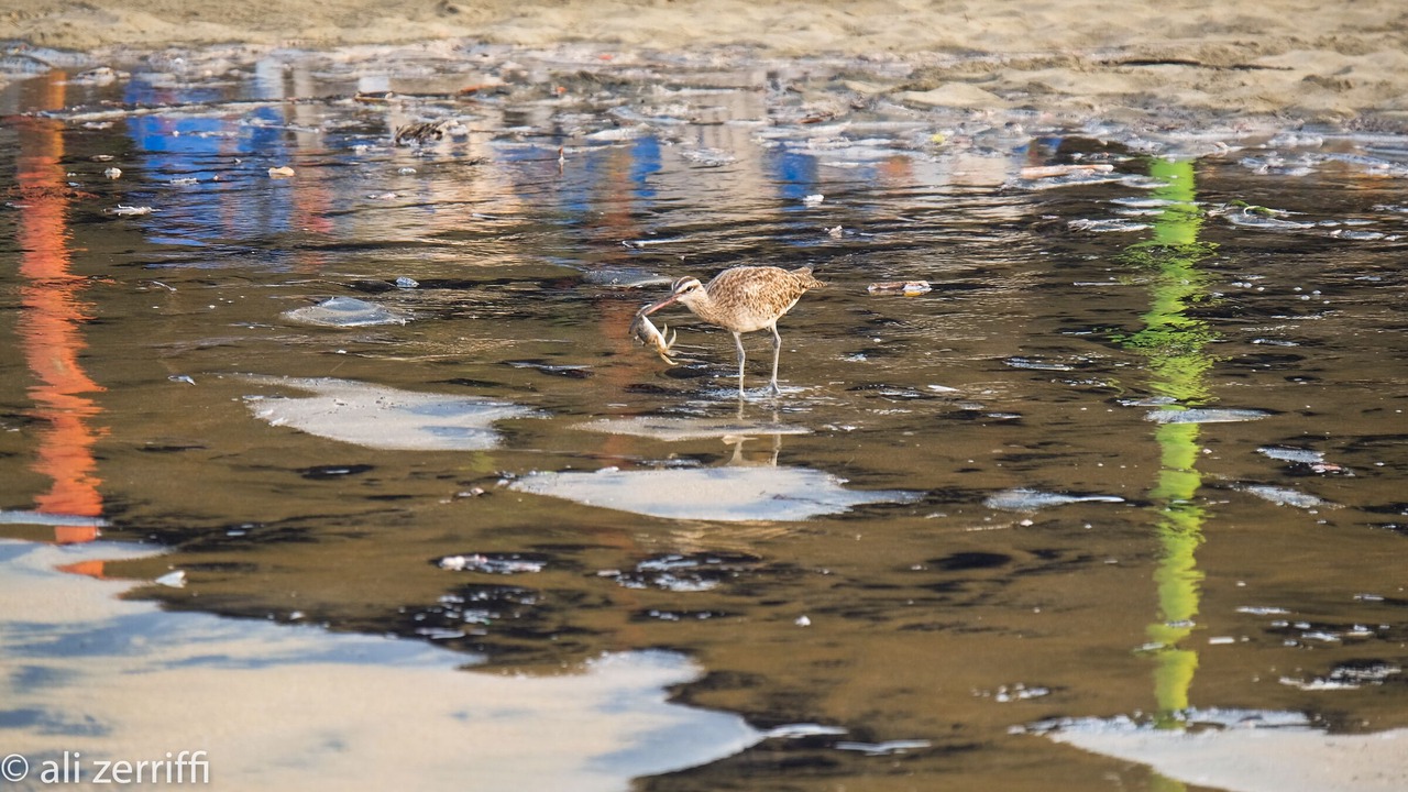 Photo of Others in Barra de Potosi