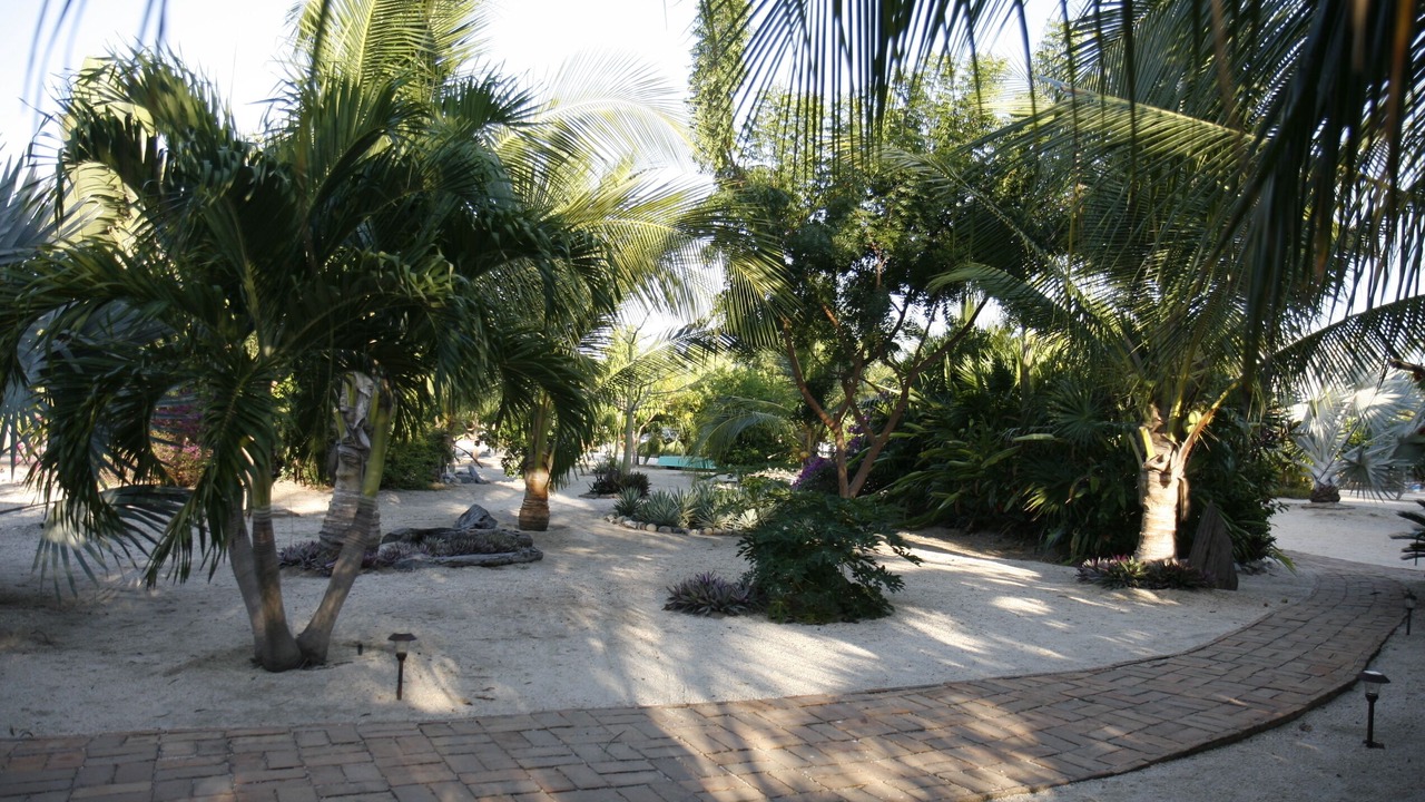 Photo of Others in Barra de Potosi