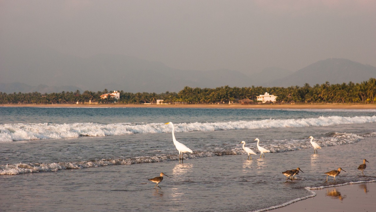 Photo of Others in Barra de Potosi
