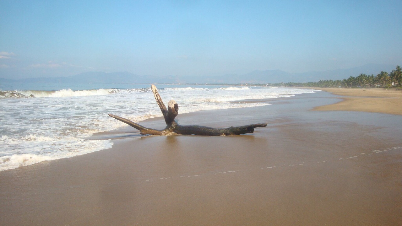 Photo of Others in Barra de Potosi