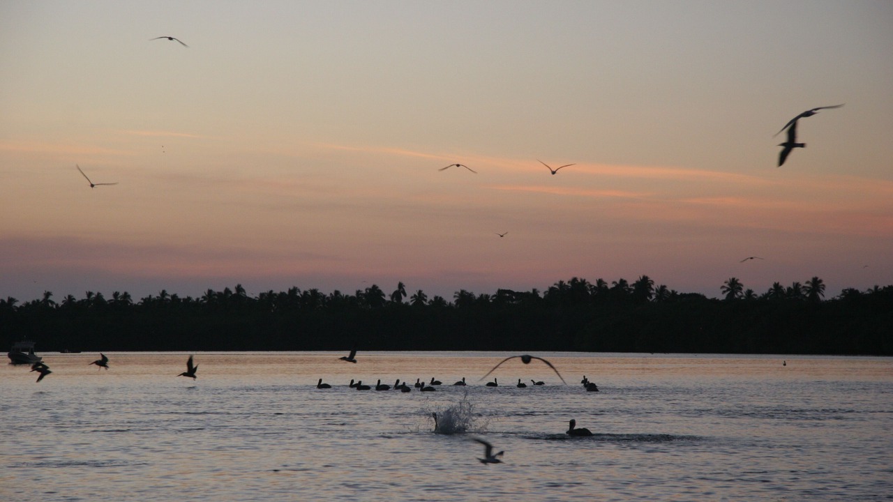 Photo of Others in Barra de Potosi