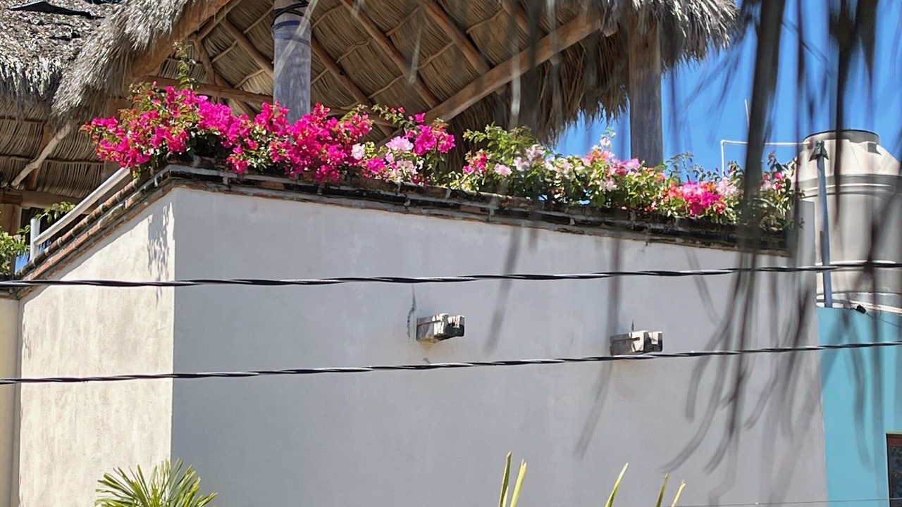 Photo of Outdoor in Emiliano Zapata