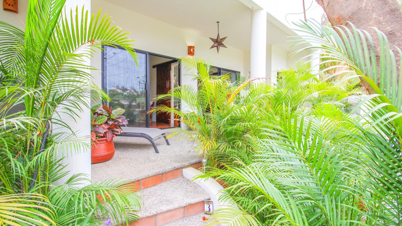 Photo of Outdoor in Sayulita