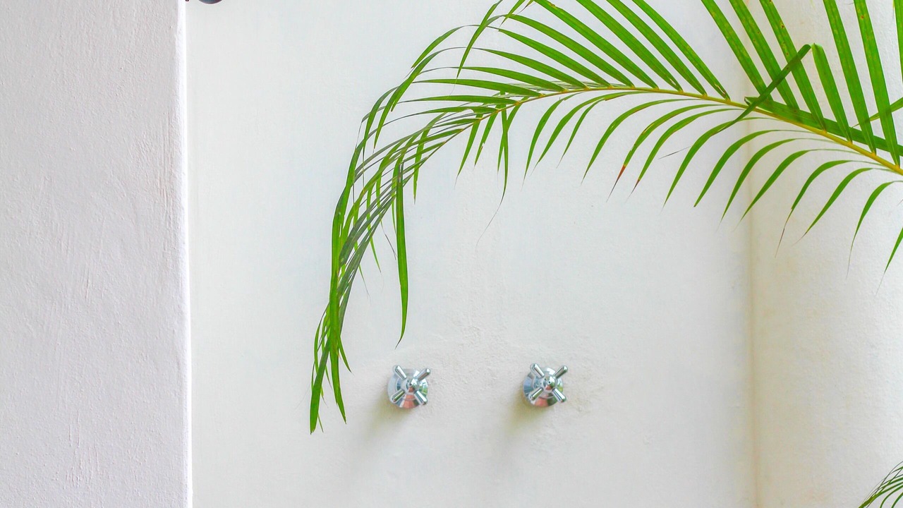 Photo of Others in Sayulita