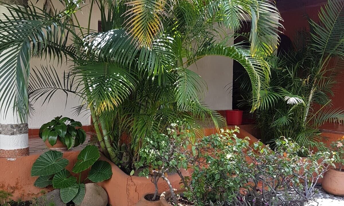 Photo of Outdoor in San Guillermo