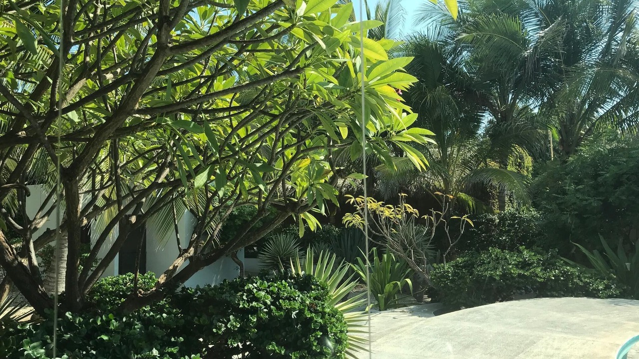 Photo of Others in Santa Maria Colotepec