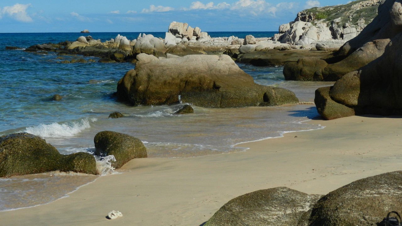 Photo of Others in Cabo Pulmo