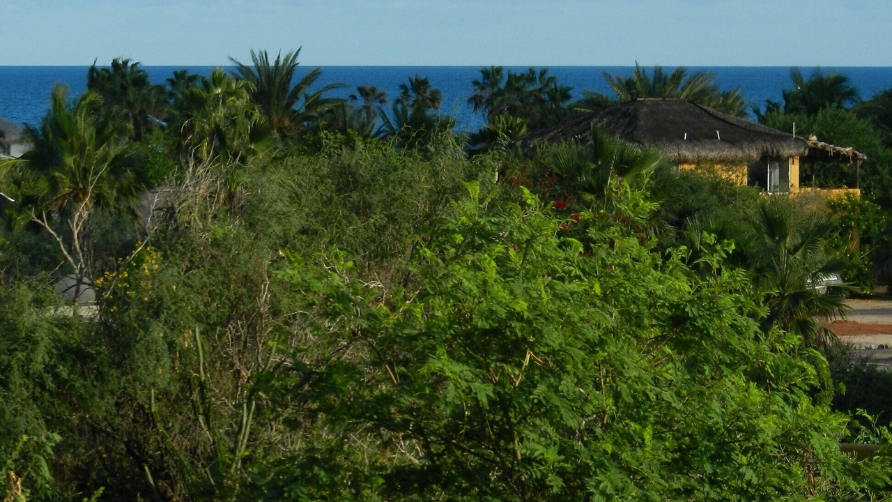 Photo of Bathroom in Cabo Pulmo