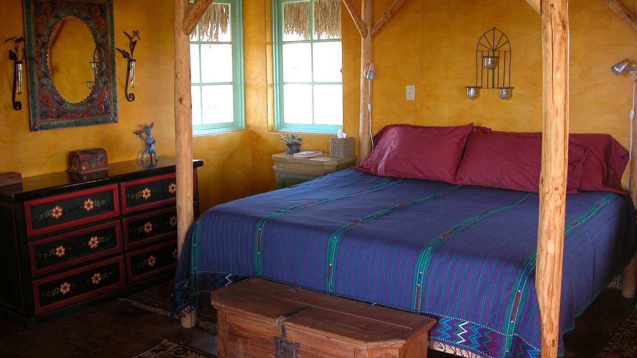 Photo of Others in Cabo Pulmo