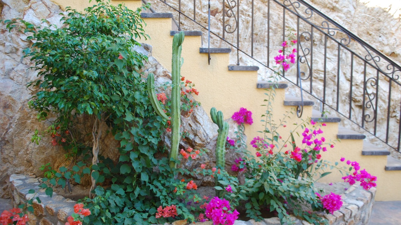 Photo of Outdoor in Pedregal