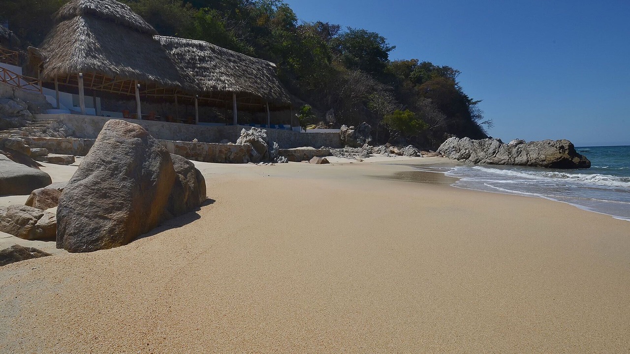 Photo of Others in Puerto Vallarta