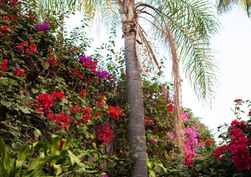 Photo of Outdoor in Cantarranas