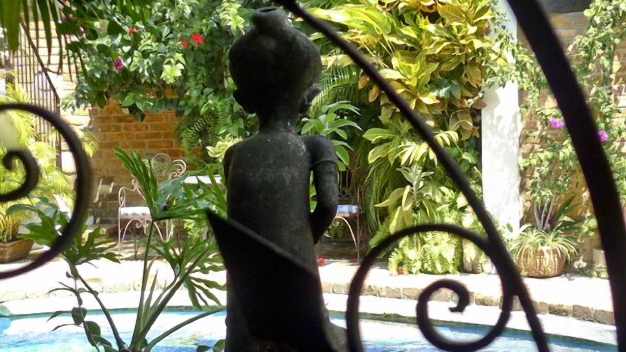 Photo of Others in Downtown Puerto Vallarta