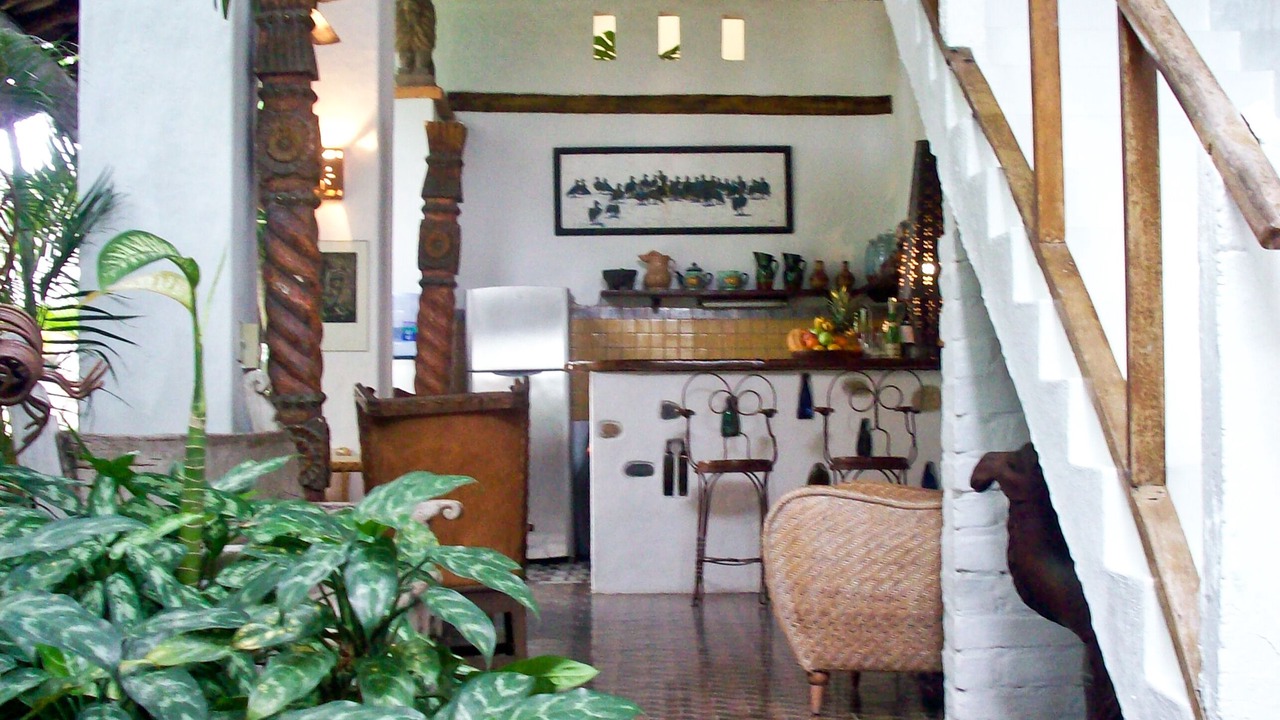 Photo of Others in Downtown Puerto Vallarta