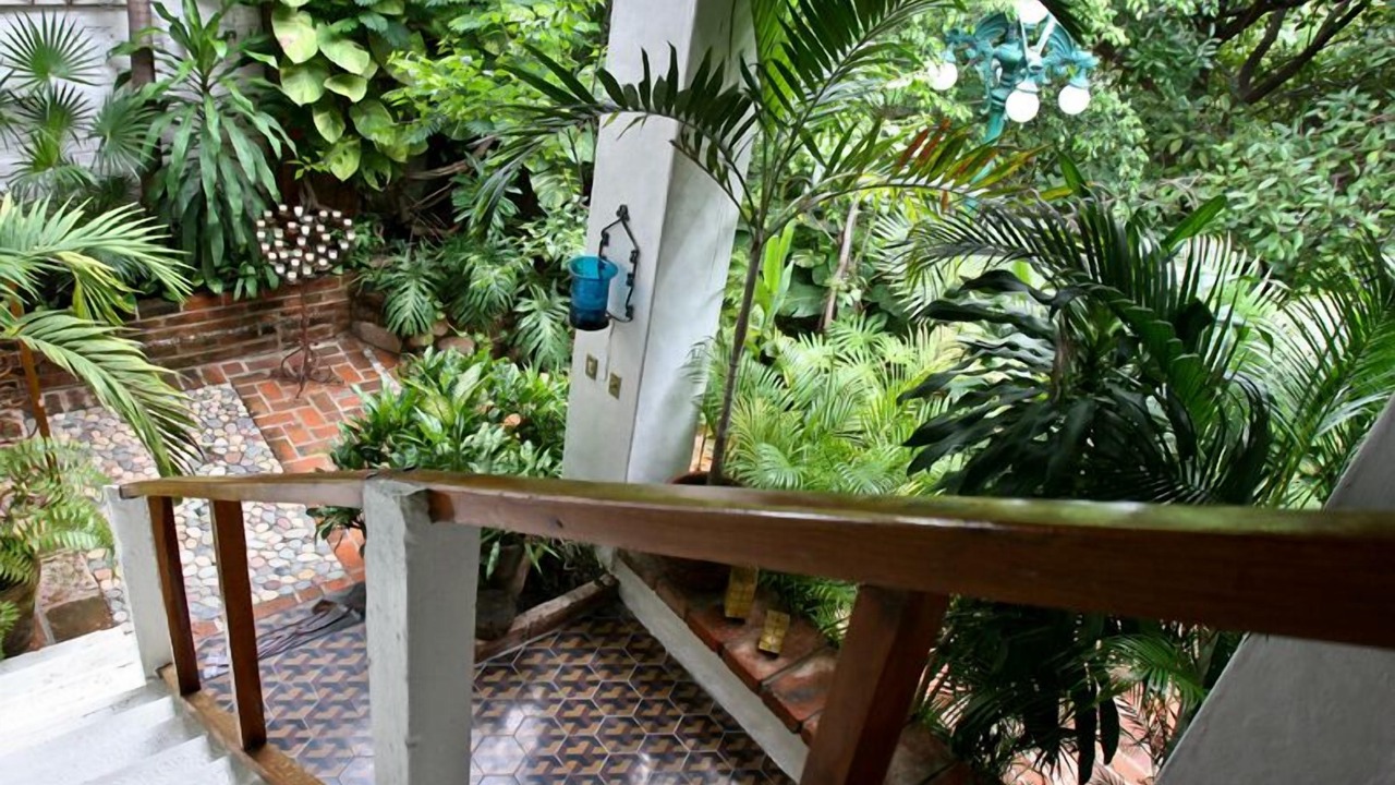 Photo of Others in Downtown Puerto Vallarta