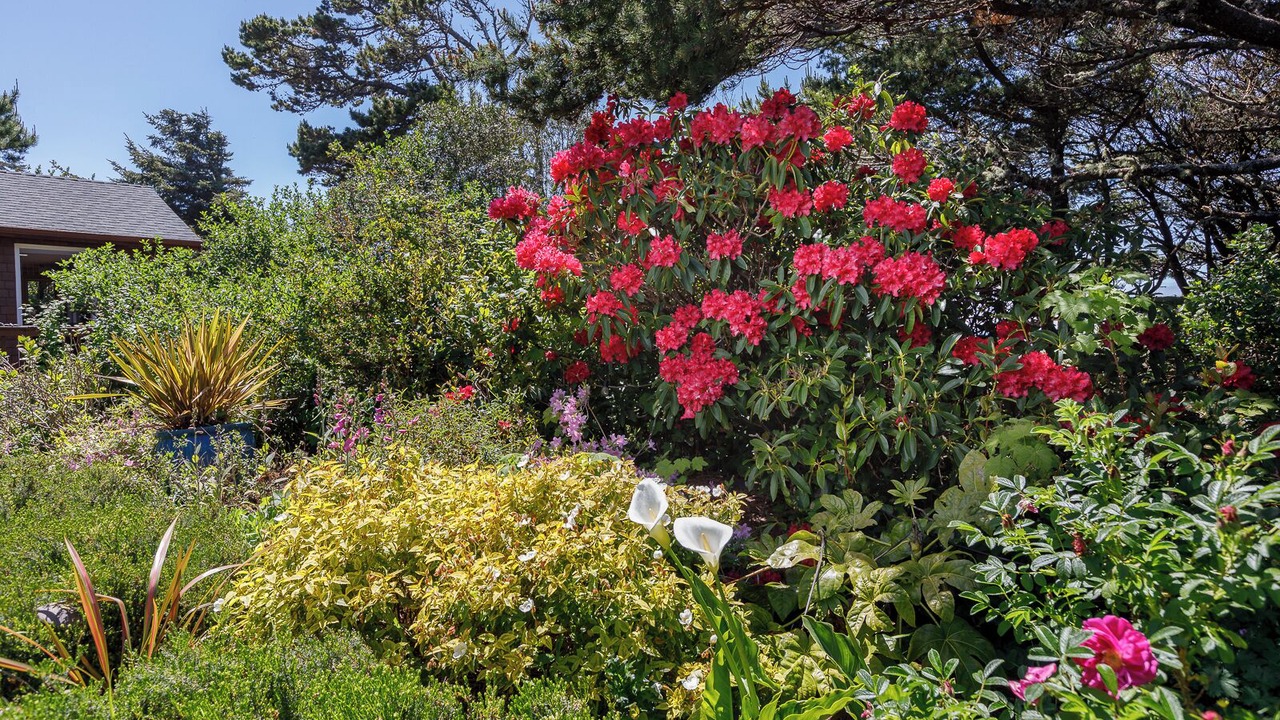 Photo of Outdoor in Agate Beach