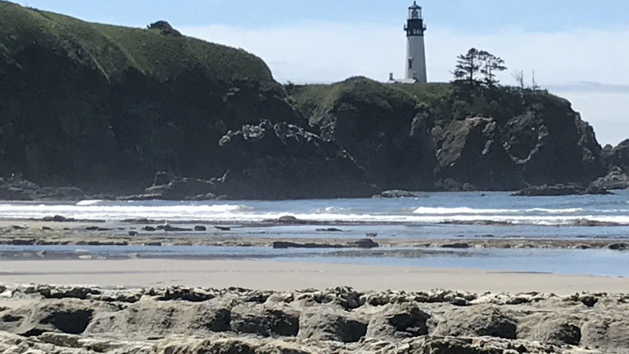 Photo of Others in Agate Beach