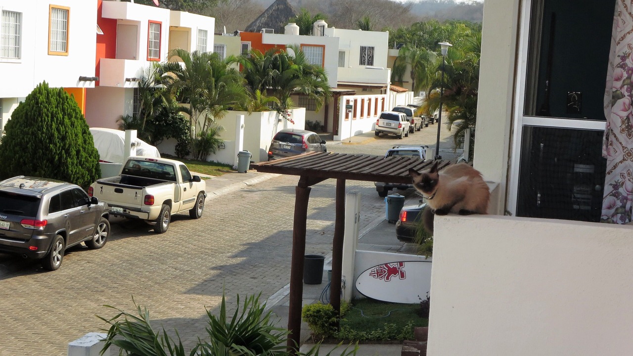 Photo of Patio Balcony in Bucerias