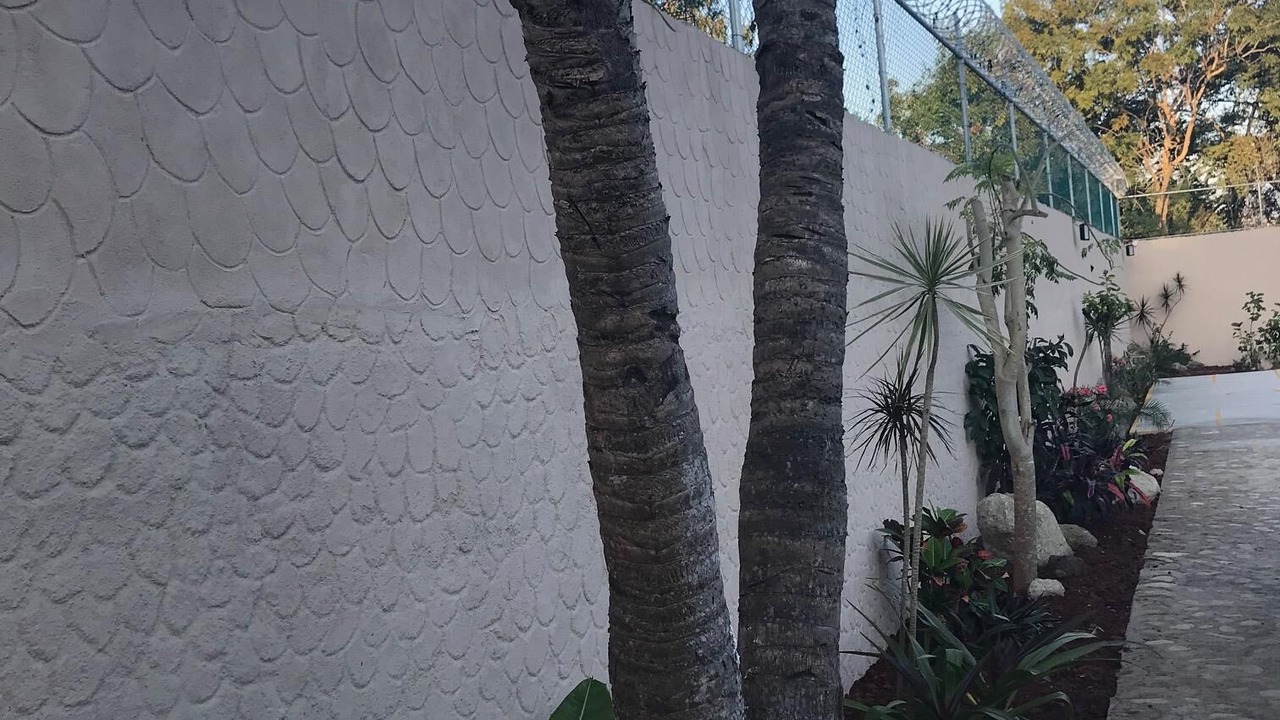 Photo of Outdoor in Rincon de Guayabitos