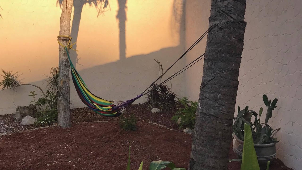Photo of Outdoor in Rincon de Guayabitos