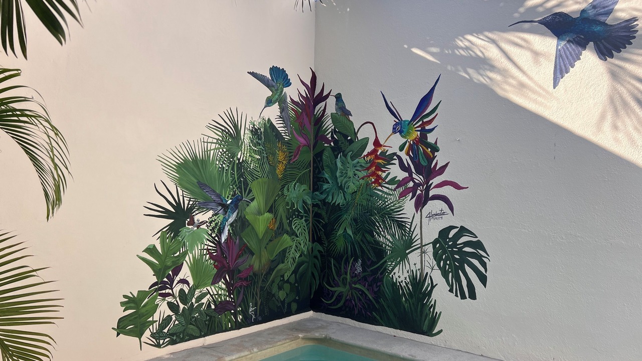 Photo of Outdoor in Barra de Navidad