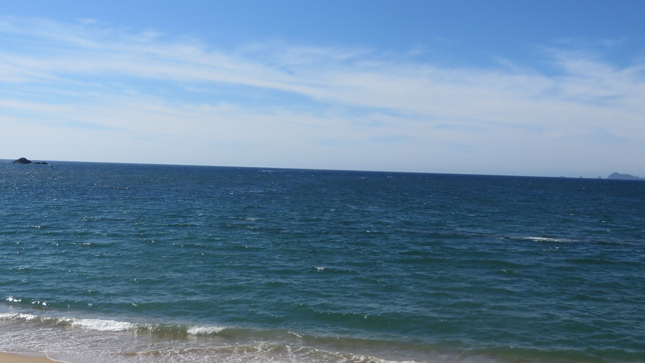 Photo of Others in Barra de Navidad