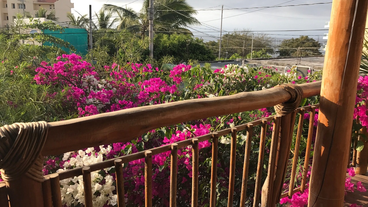 Photo of Outdoor in Emiliano Zapata