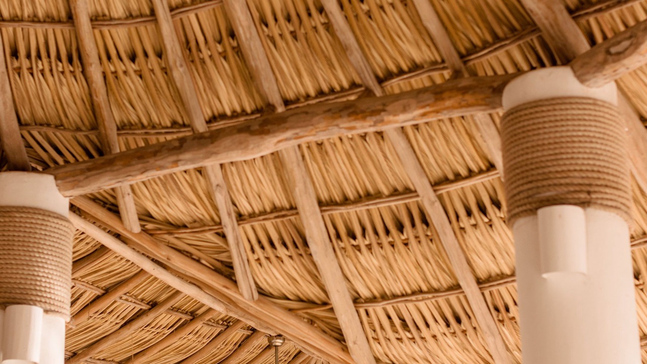 Photo of Others in Ixtapa