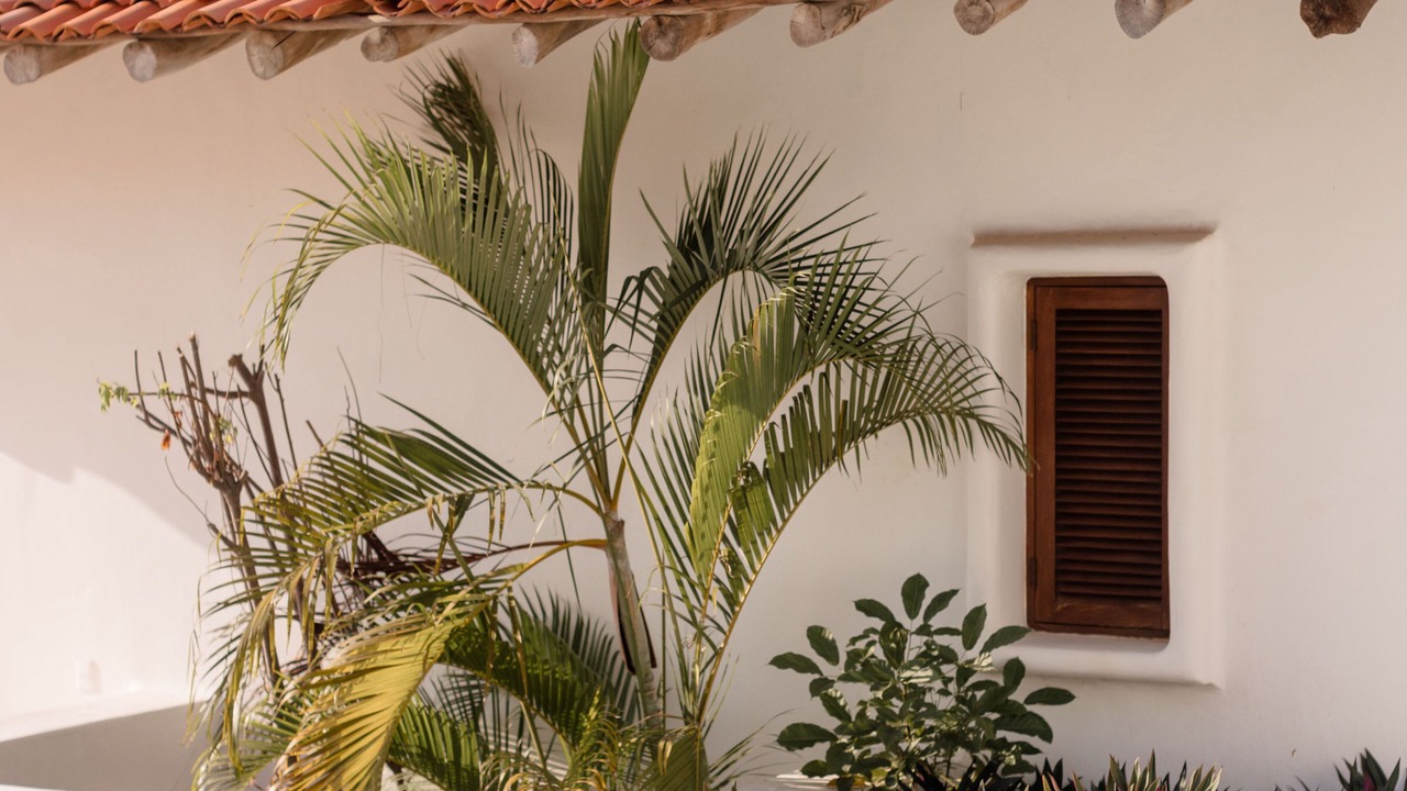Photo of Outdoor in Ixtapa