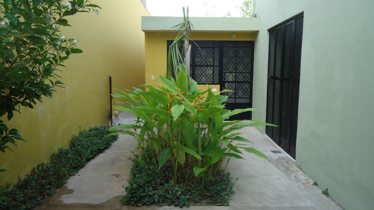 Photo of Outdoor in Zona Paseo Montejo