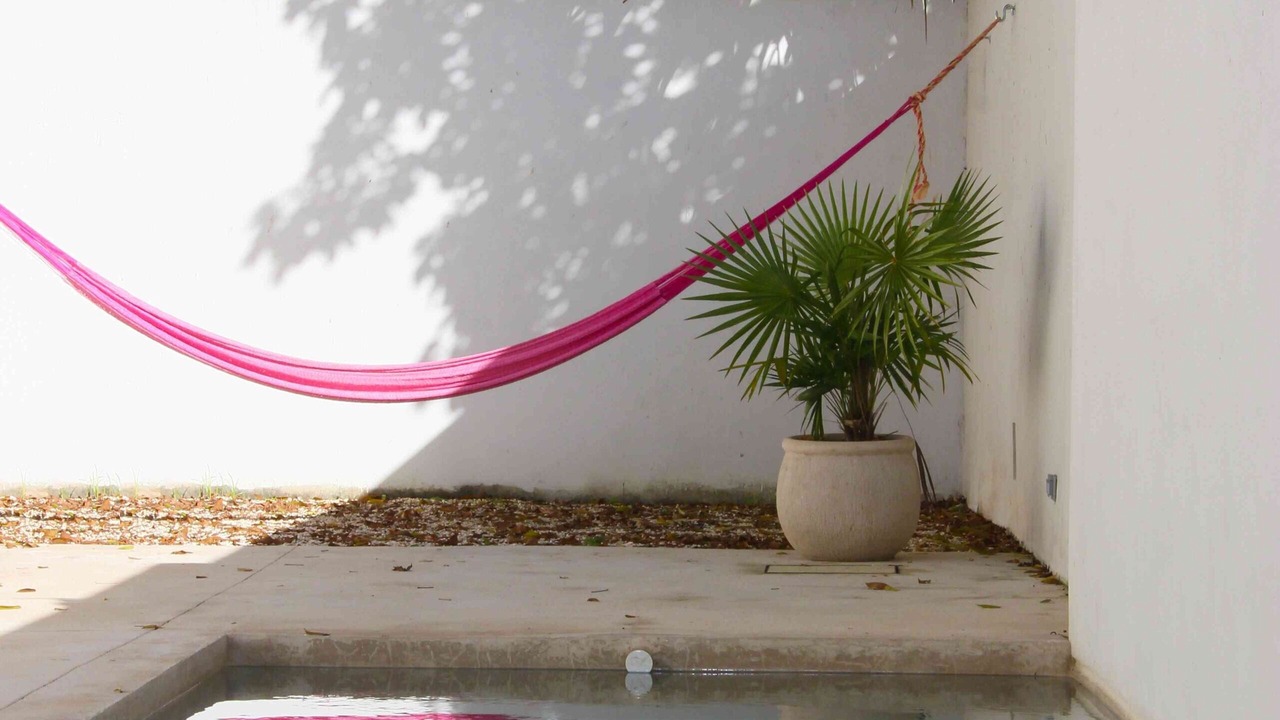 Photo of Outdoor in Merida Municipality