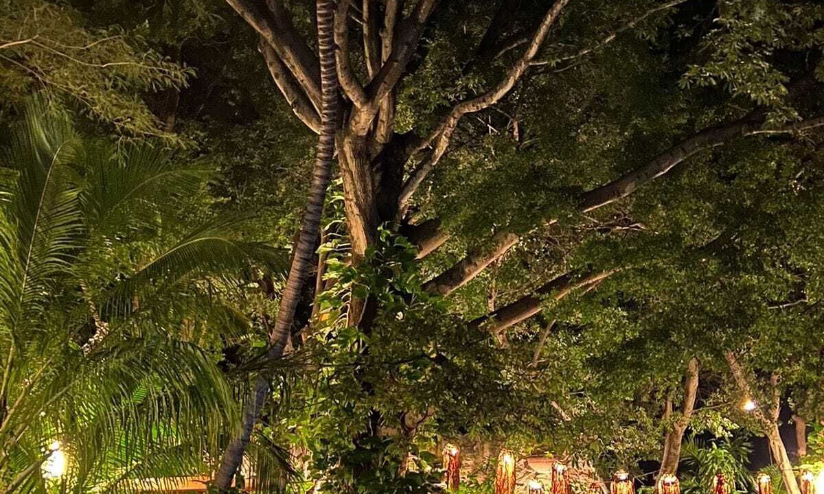 Photo of Outdoor in Chiapa De Corzo